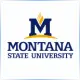 Montana State University - Accounting School Ranking