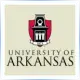 University of Arkansas - Accounting School Ranking
