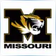 University of Missouri St Louis - Accounting School Ranking